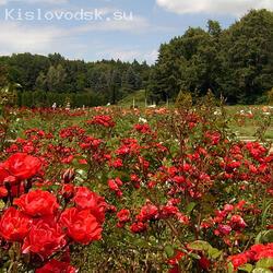 Долина роз в Кисловодске